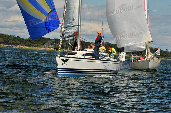 2010 IRC LIS 1979