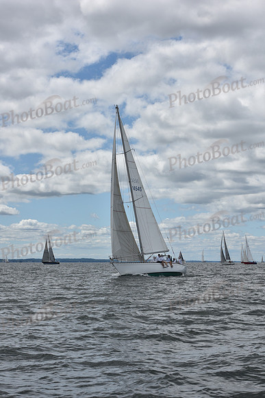 2021 Vineyard Race A 0266