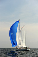 2013 Vineyard Race A 1007