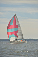 2016 Vineyard Race A_0617