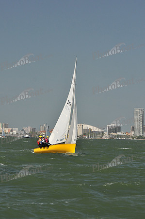 2012 Thistle Midwinters B 1045