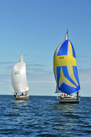 2010 IRC LIS 1964