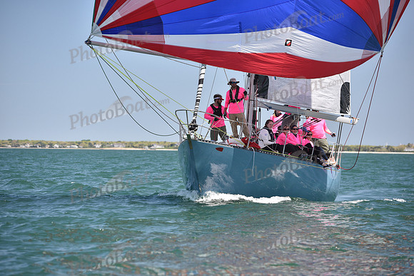 2019 Figawi_1218