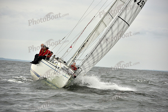 2018 Vineyard Race A_2784