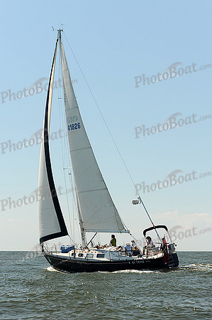 2014 Charleston Race Week A 570