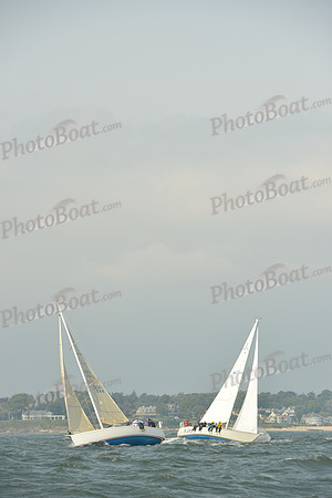 2015 Vineyard Race A 566