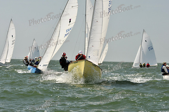2012 Thistle Midwinters B 1150