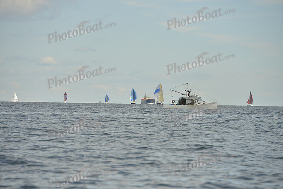 2016 Vineyard Race A_1191