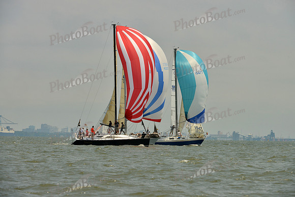 2016 Southern Bay Race Week A_1748