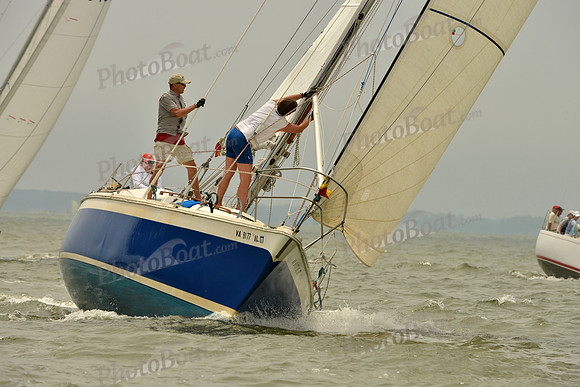 2016 Southern Bay Race Week A_1073