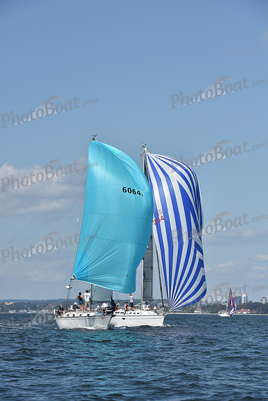 2020 Vineyard Race A_0317