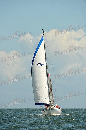 2015 Southern Bay Race Week C 1338