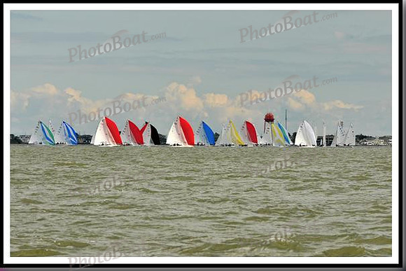 proof_2010_EScows_B 735