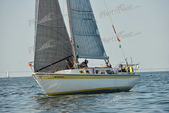 2015 Gov Cup A 895