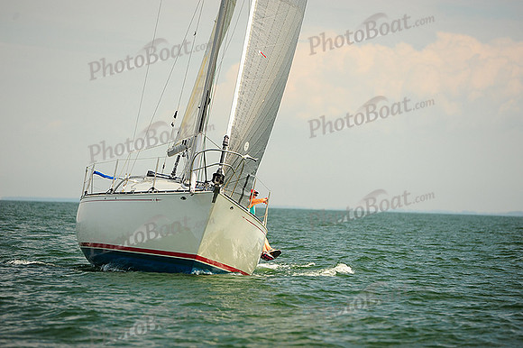 2014 Cape Charles Cup B 659