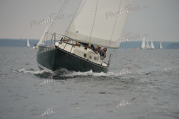 2016 Chester Race Week D_0563