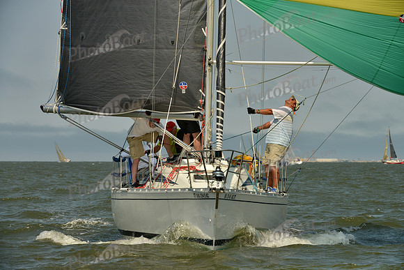 2016 Southern Bay Race Week B_0658