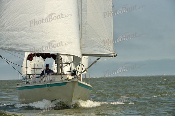 2016 Southern Bay Race Week B_0215