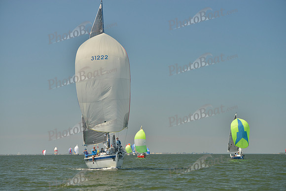 2017 Southern Bay Race Week B_0539