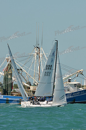 2014 Key West Race Week D 1226