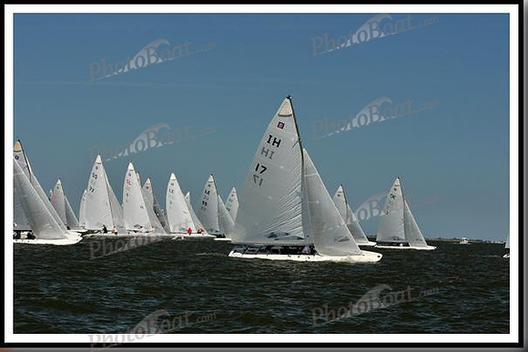 proof_2010_EScows_E 675
