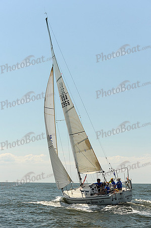 2014 Charleston Race Week A 504