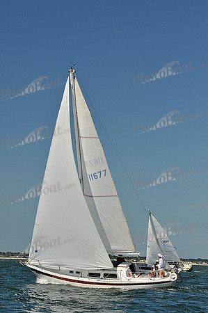 2013 Southern Bay Race Week D 212