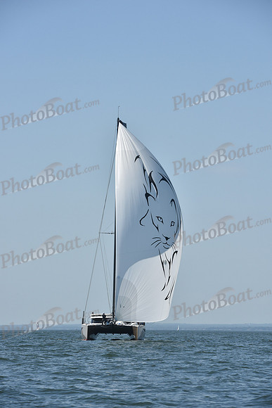 2019 Vineyard Race A_2433