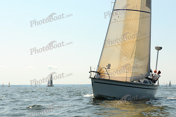 2011 Vineyard Race A 1732