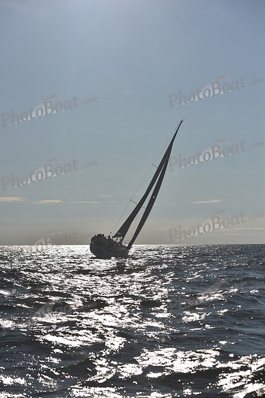 2021 Vineyard Race B 2779