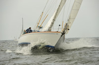 2015 Vineyard Race A 104
