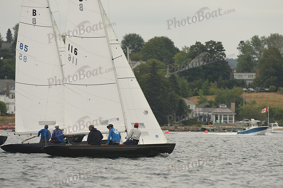 2016 Chester Race Week D_0879