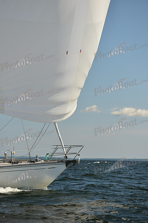 2015 Vineyard Race C 584