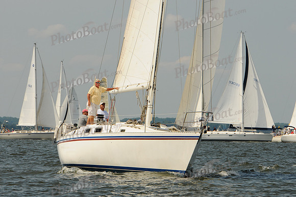 2011 Gov Cup A 231