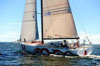 2014 Vineyard Race A 702