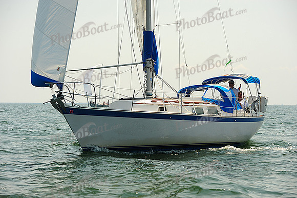 2014 Cape Charles Cup A 579