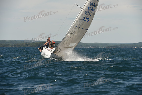 2016 Chester Race Week A_1146