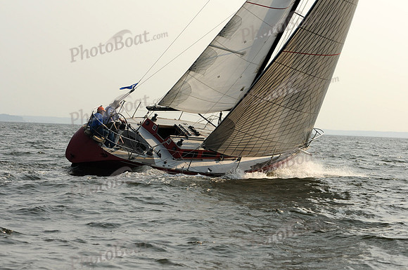 2011 Vineyard Race B 358