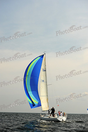 2013 Vineyard Race A 984