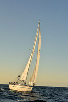 2016 Newport Bermuda Race_2777