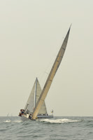2015 Vineyard Race B 069