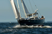 2015 Vineyard Race C 196