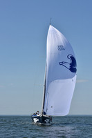 2019 Vineyard Race A_2520