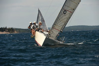 2016 Chester Race Week A_1291