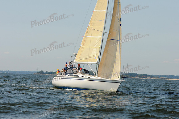 2011 Vineyard Race A 330