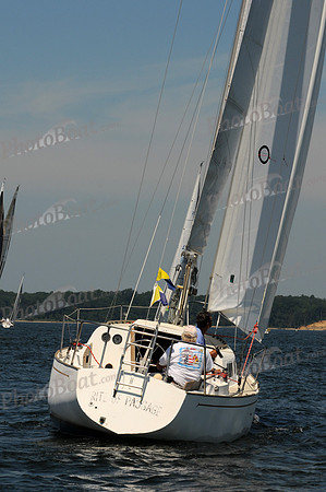 2011 Screwpile C 269