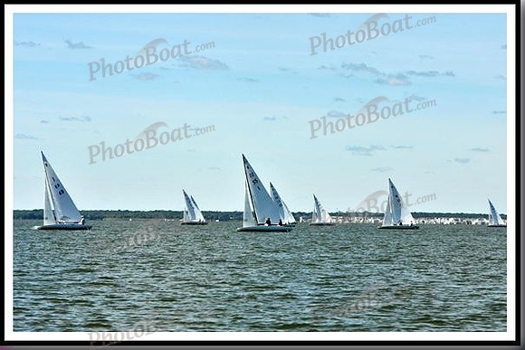 proof_2010_EScows_D 015