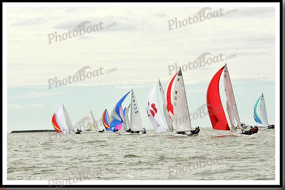 proof_2010_EScows_A 1435