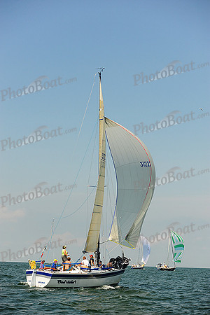 2014 Cape Charles Cup A 782