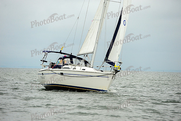 2014 Gov Cup B 141